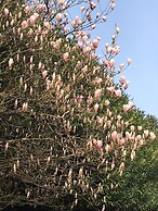 Hôtel de la Vallée Heureuse