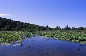 Sure Hotel by Best Western Mougins Belvedere