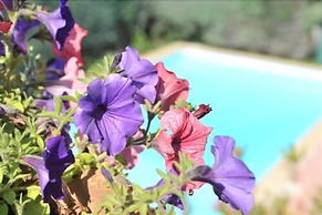 Sure Hotel by Best Western Mougins Belvedere