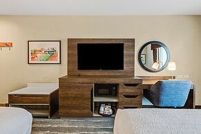 Hampton Inn & Suites Selma-San Antonio-Randolph AFB Texas