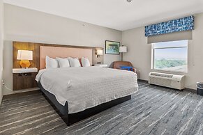 Hampton Inn & Suites Selma-San Antonio-Randolph AFB Texas