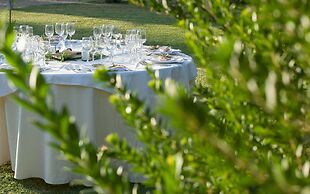 Ardea Purpurea Lodge