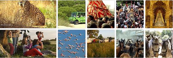 Ardea Purpurea Lodge