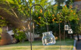 Ardea Purpurea Lodge