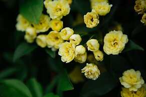 Federation Gardens & Possums Hideaway