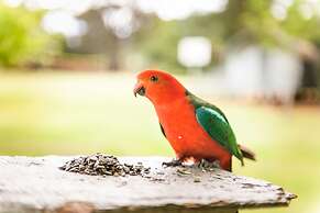 Federation Gardens & Possums Hideaway