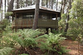 Federation Gardens & Possums Hideaway