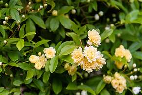 Federation Gardens & Possums Hideaway