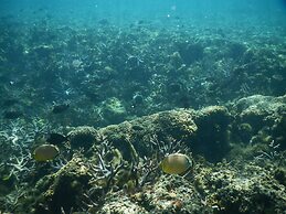 Stevenson's at Manase