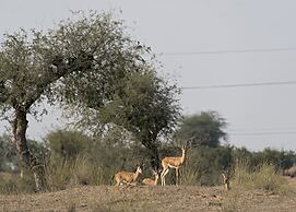 Alsisar Mahal - A Heritage Hotel