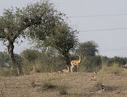 Alsisar Mahal - A Heritage Hotel