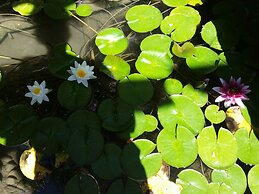 Filoxenia Sea & View