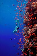 The Breakers Diving & Surfing Lodge