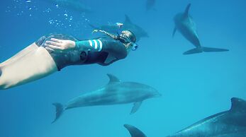 The Breakers Diving & Surfing Lodge