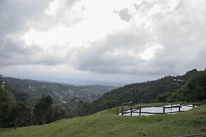 Hotel Alto Palomo