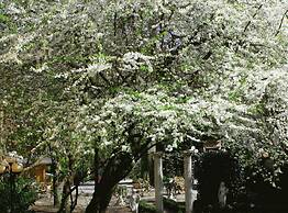 Boulevard Hostel Hamburg