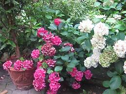 Boulevard Hostel Hamburg