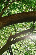 Boulevard Hostel Hamburg