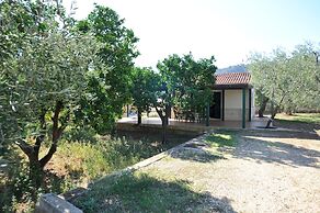 Case Vacanze L'Uliveto