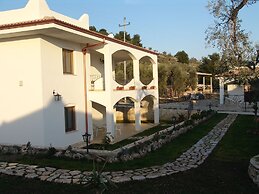 Case Vacanze L'Uliveto