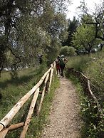 Case Vacanze L'Uliveto