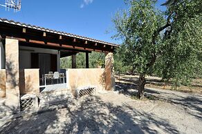 Case Vacanze L'Uliveto