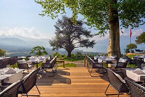 Hotel du Leman