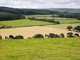 Rye Hill Farm