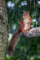 Stafford House Guest House