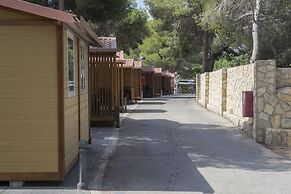 Camping Arena Blanca