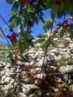 Country House Case Catalano