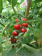 Country House Case Catalano