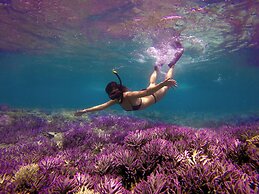 Mantaray Island Resort