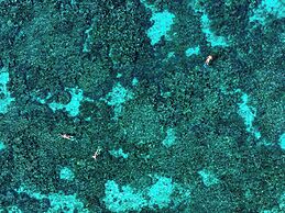 Mantaray Island Resort