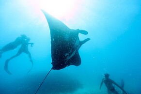 Mantaray Island Resort