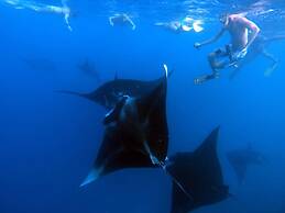 Mantaray Island Resort