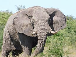 Tsumkwe Country Lodge