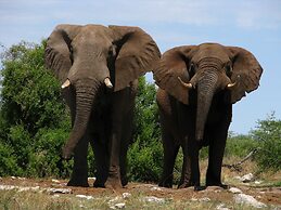 Tsumkwe Country Lodge