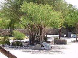 Tsumkwe Country Lodge