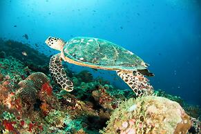 Machchafushi Island Resort & Spa Maldives, The Centara Collection