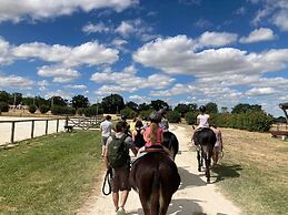 Le Village de Cottages - Le Pôle du Cheval et de l'Âne