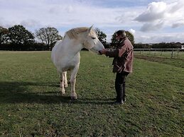 Le Village de Cottages - Le Pôle du Cheval et de l'Âne