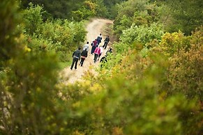 Natur-Med Hot Springs and Health Resort