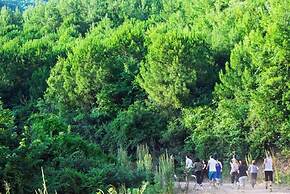 Natur-Med Hot Springs and Health Resort