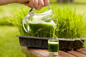 Natur-Med Hot Springs and Health Resort