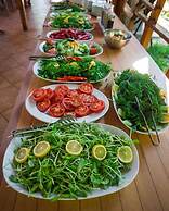 Natur-Med Hot Springs and Health Resort