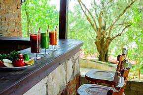 Natur-Med Hot Springs and Health Resort