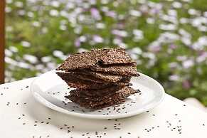 Natur-Med Hot Springs and Health Resort