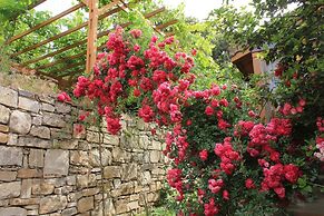 Natur-Med Hot Springs and Health Resort