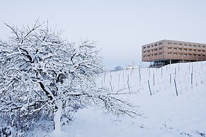Loisium Wine & Spa Hotel Südsteiermark
